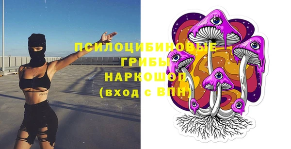 дживик Кулебаки